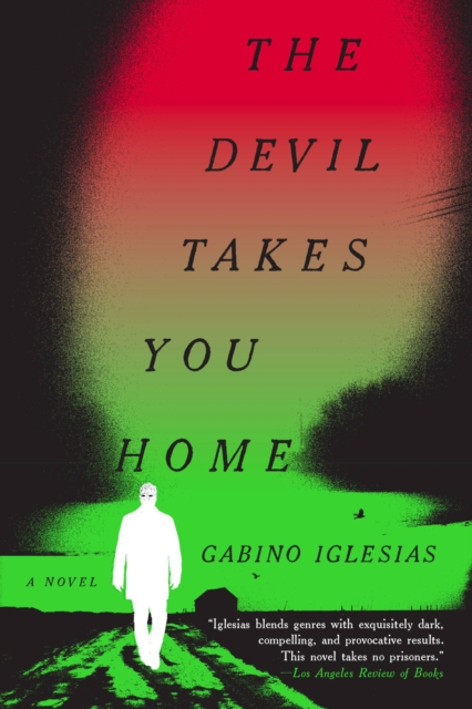 The Devil Takes You Home : A Novel