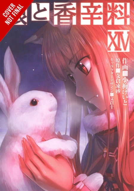 Spice and Wolf, Vol. 14 (manga)