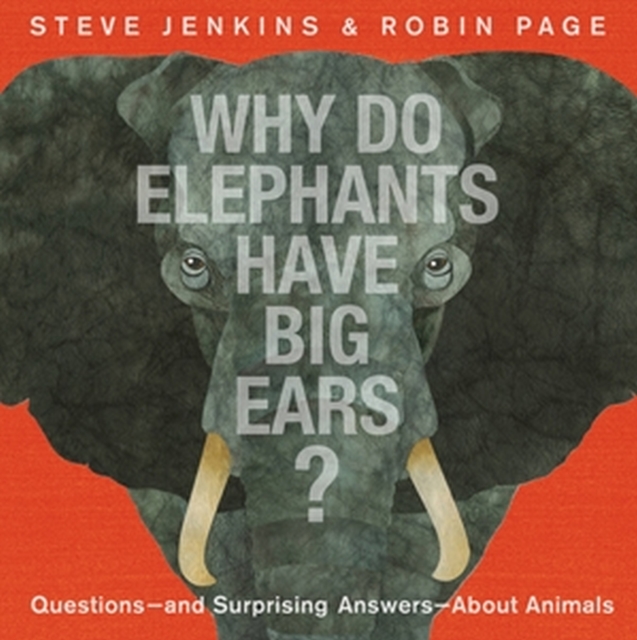 Why Do Elephants Have Big Ears?