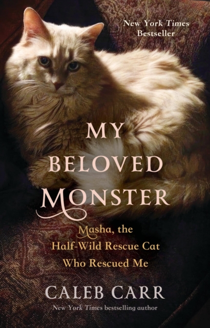 My Beloved Monster : Masha, the Half-wild Rescue Cat Who Rescued Me
