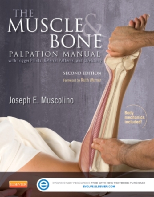 Muscle and Bone Palpation Manual with Trigger Points, Referral Patterns and Stretching