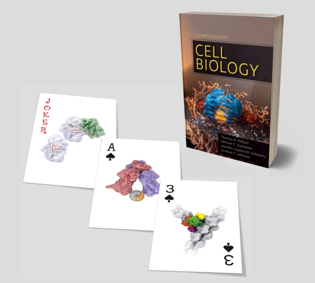 Cell Biology Playing Cards
