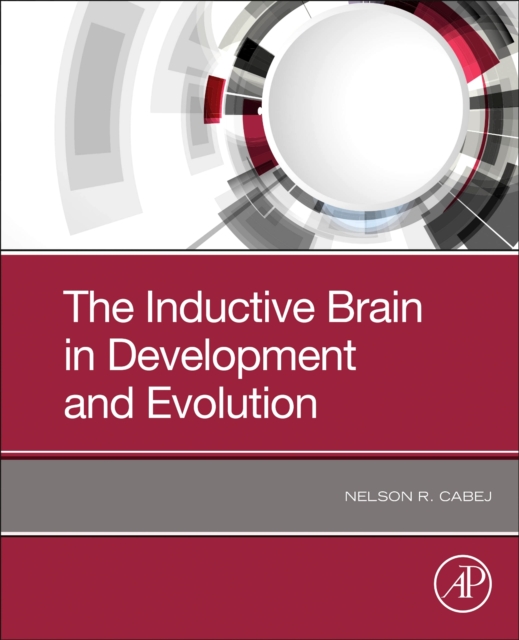 Inductive Brain in Development and Evolution