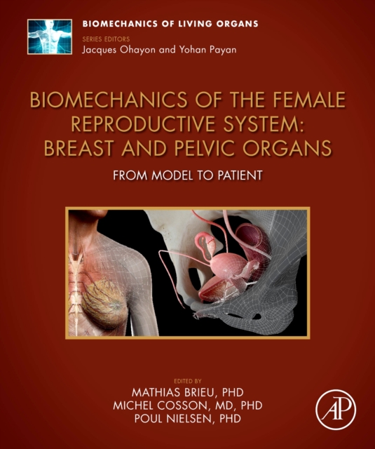 Biomechanics of the Female Reproductive System: Breast and Pelvic Organs