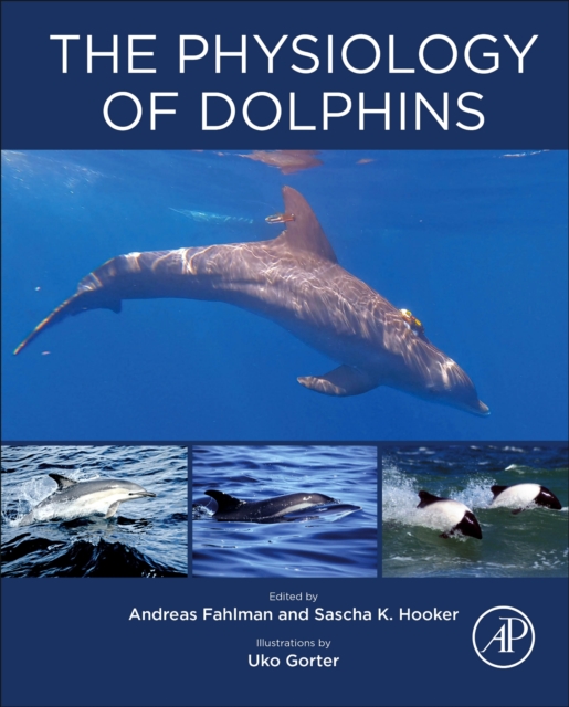 Physiology of Dolphins