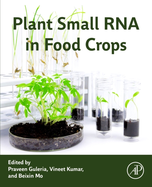 Plant Small RNA in Food Crops