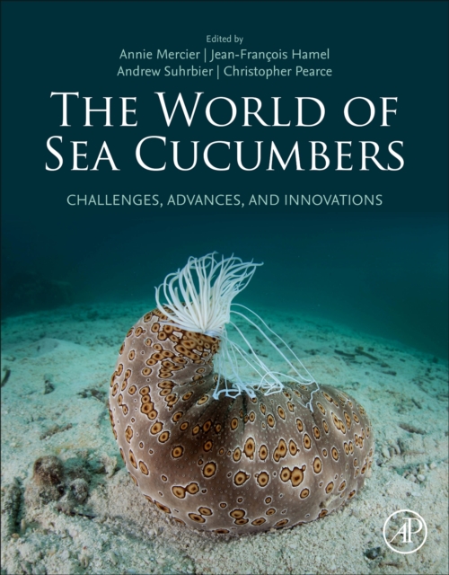 World of Sea Cucumbers
