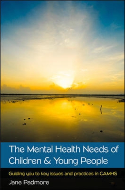 Mental Health Needs of Children & Young People: Guiding you to key issues and practices in CAMHS
