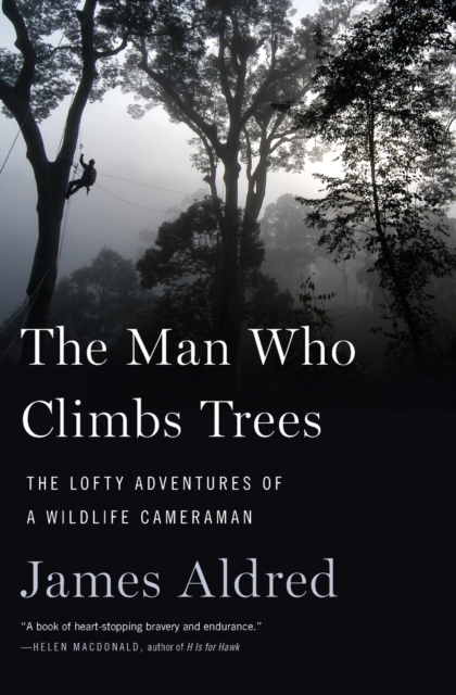Man Who Climbs Trees