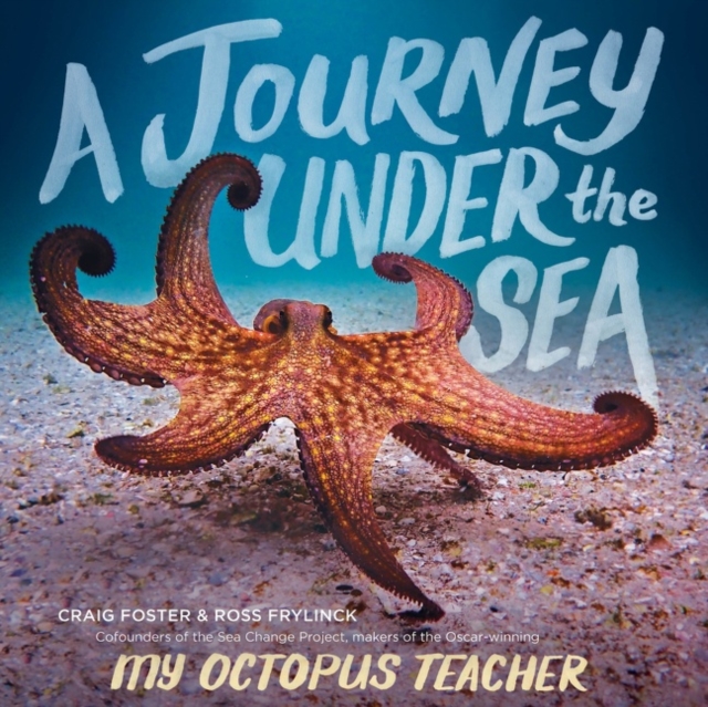 Journey Under the Sea