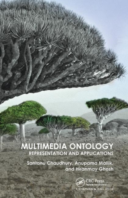 Multimedia Ontology