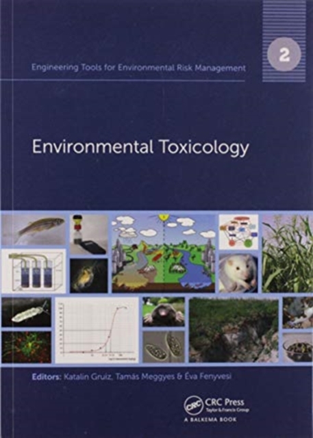 Engineering Tools for Environmental Risk Management