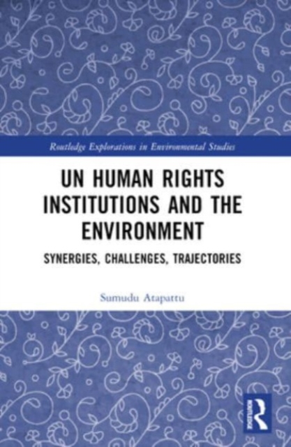 UN Human Rights Institutions and the Environment