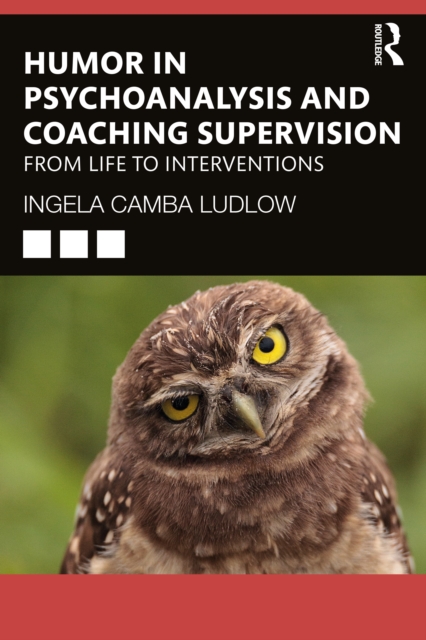 Humor in Psychoanalysis and Coaching Supervision