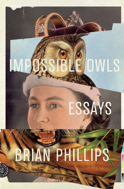 Impossible Owls