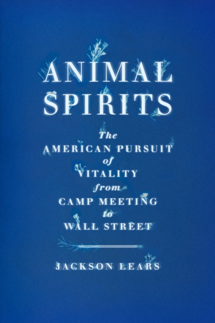 Animal Spirits