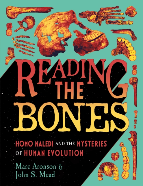 Reading the Bones