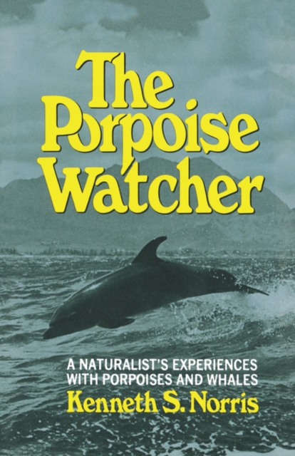 Porpoise Watcher