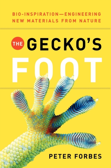 Gecko's Foot