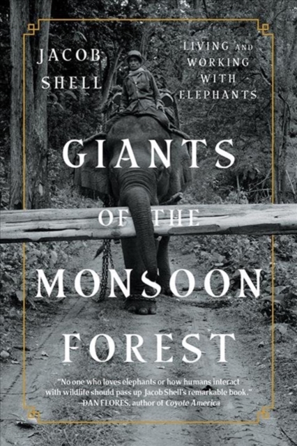 Giants of the Monsoon Forest