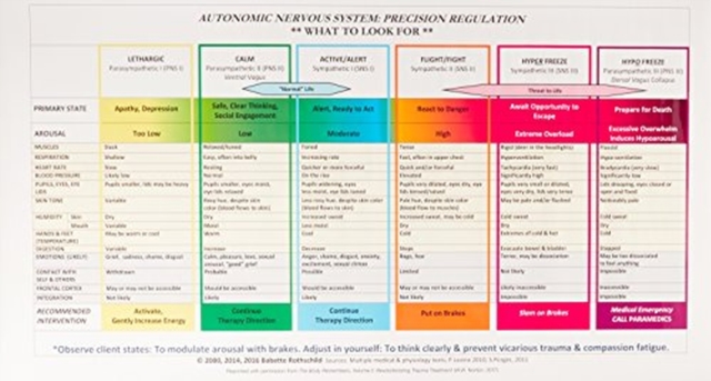 Autonomic Nervous System Table: Wall Poster