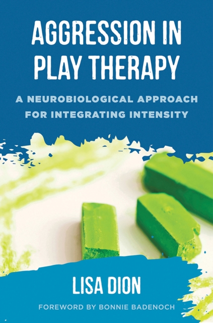 Aggression in Play Therapy