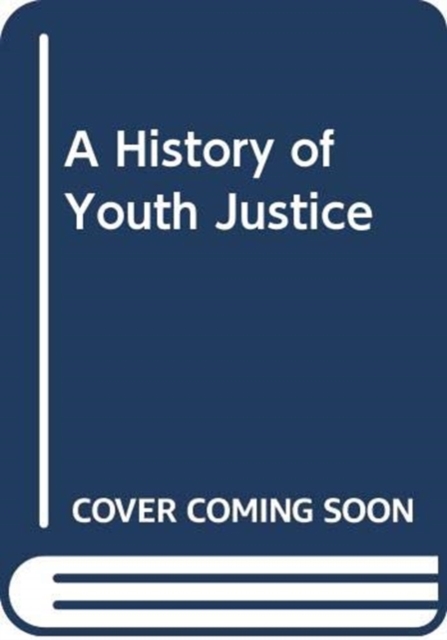 History of Youth Justice