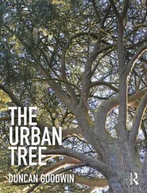 Urban Tree