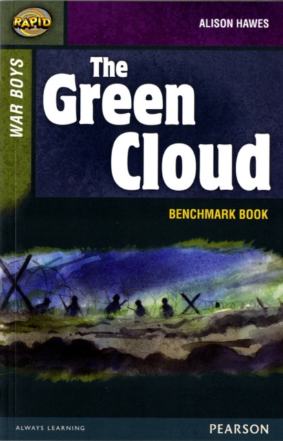 Rapid Stage 8 Assessment book: The Green Cloud