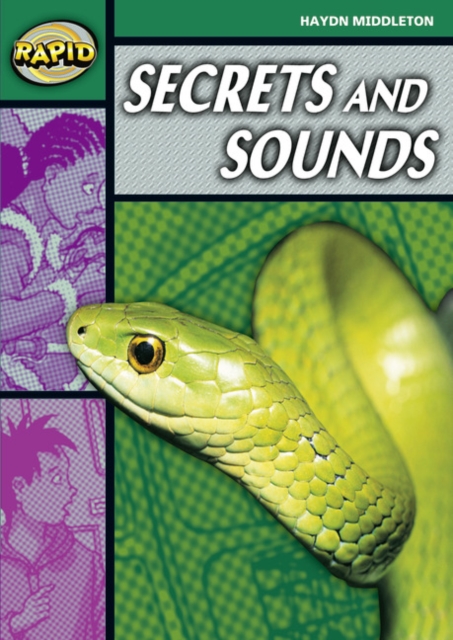 Rapid Reading: Secrets & Sounds (Stage 5, Level 5B)