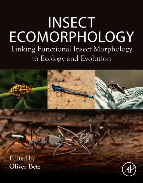 Insect Ecomorphology