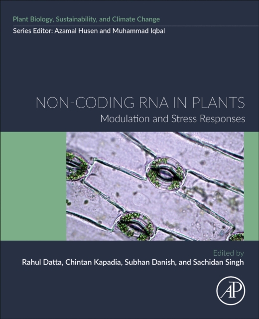 Non-coding RNA in Plants