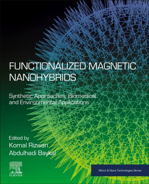 Functionalized Magnetic Nanohybrids