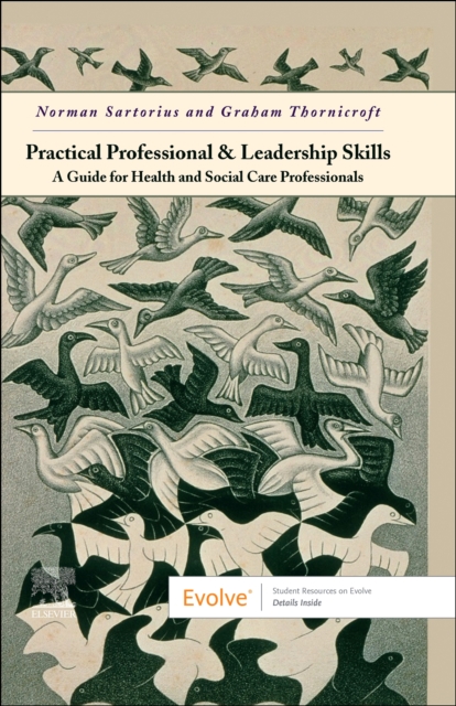Practical Professional and Leadership Skills: A Guide for Health and Social Care Professionals