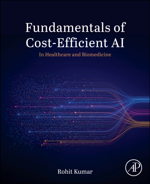 Fundamentals of Cost-Efficient AI