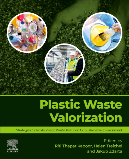 Plastic Waste Valorization
