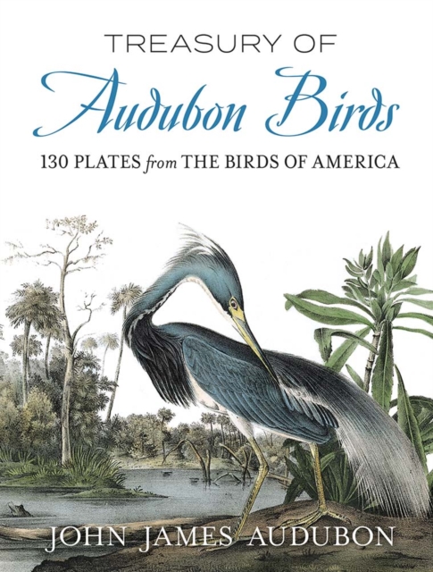 Treasury of Audubon Birds