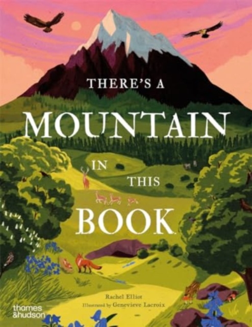 There's a Mountain in This Book