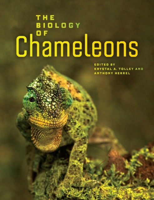 Biology of Chameleons