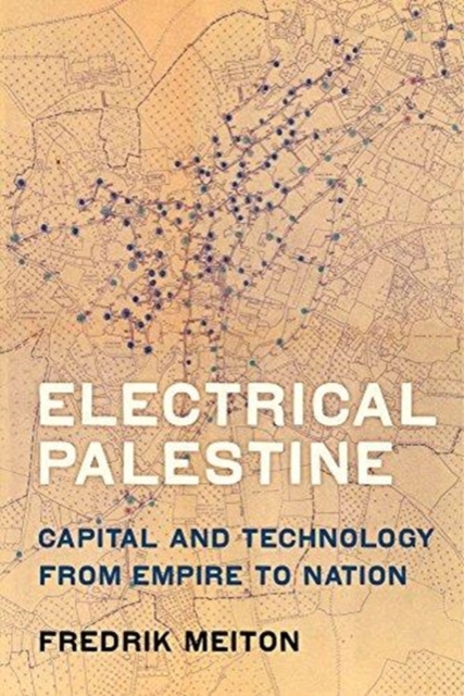 Electrical Palestine