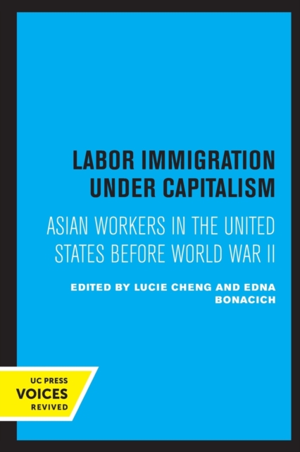 Labor Immigration under Capitalism