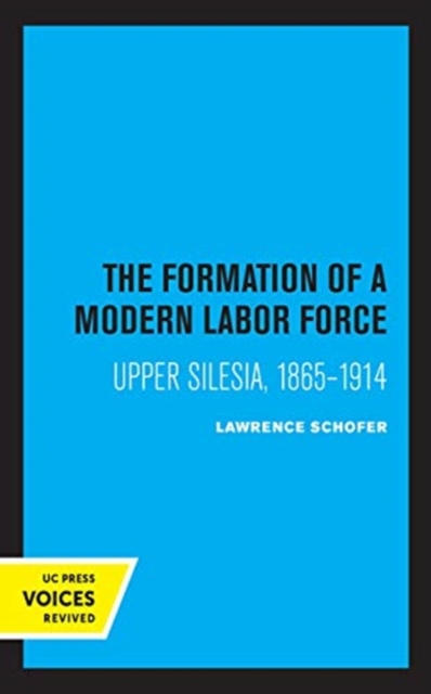 Formation of a Modern Labor Force