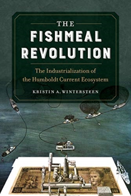 Fishmeal Revolution