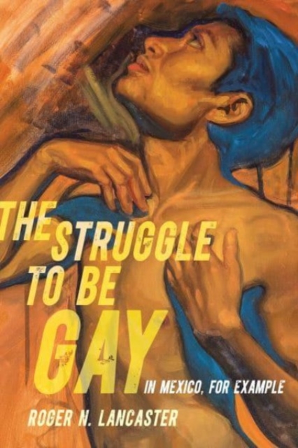 Struggle to Be Gay-in Mexico, for Example