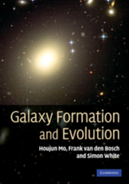 Galaxy Formation and Evolution