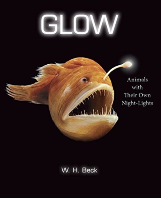 Glow