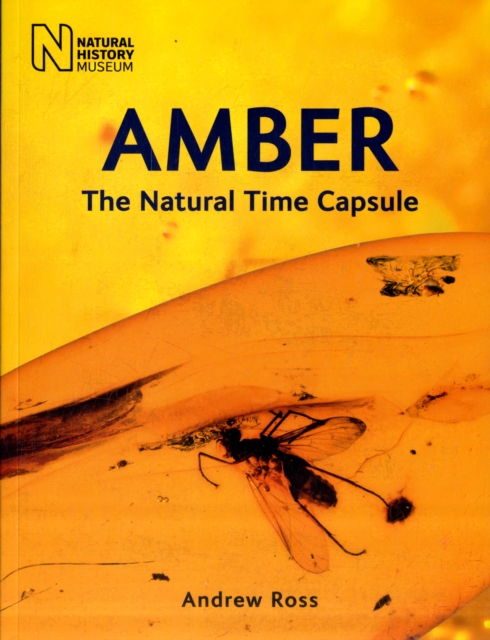 Amber