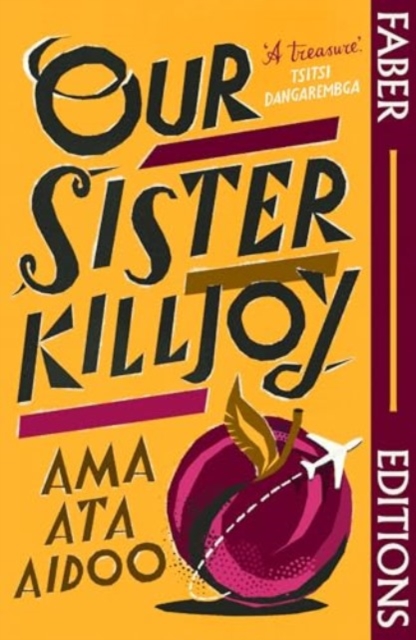 Our Sister Killjoy (Faber Editions)