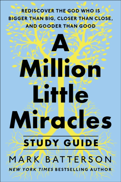 Million Little Miracles Study Guide