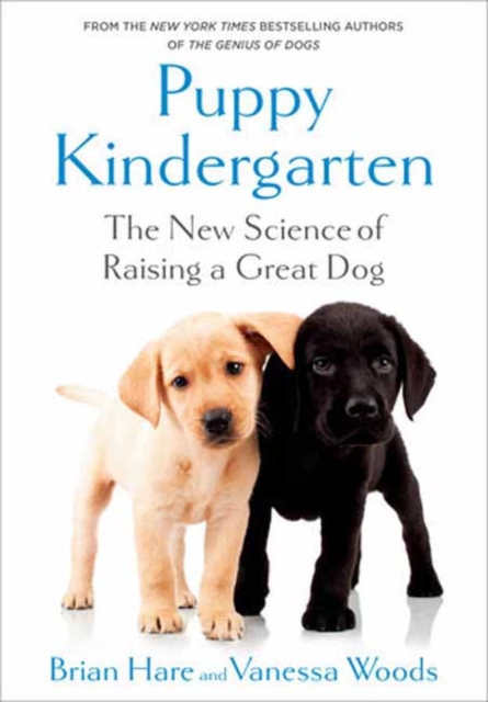 Puppy Kindergarten